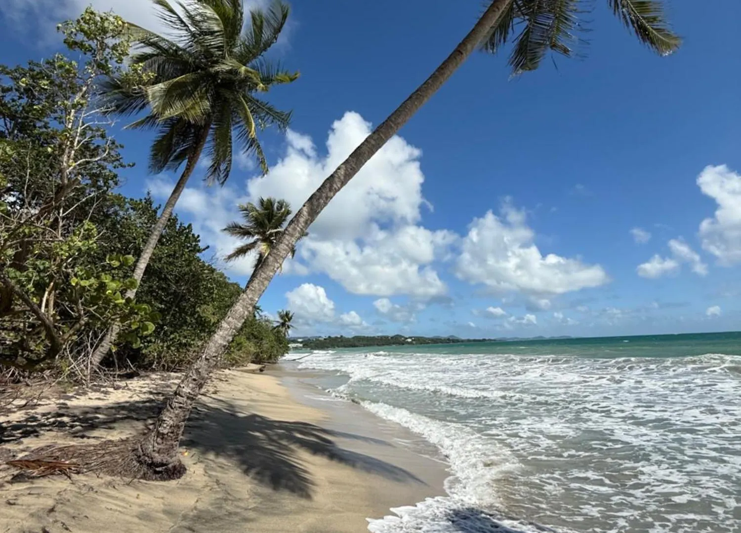 Diamant Beach Studio Le Diamant 0*,